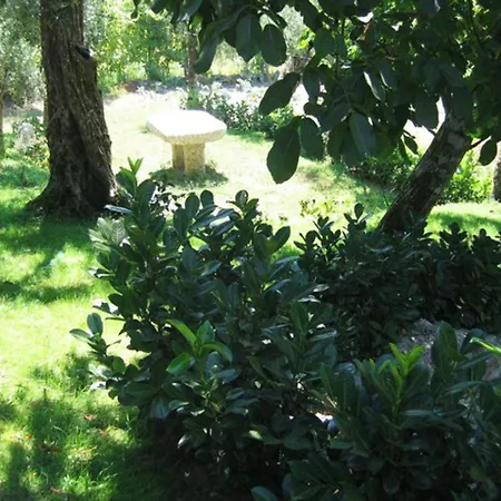 Quinta Dos Vieiras *